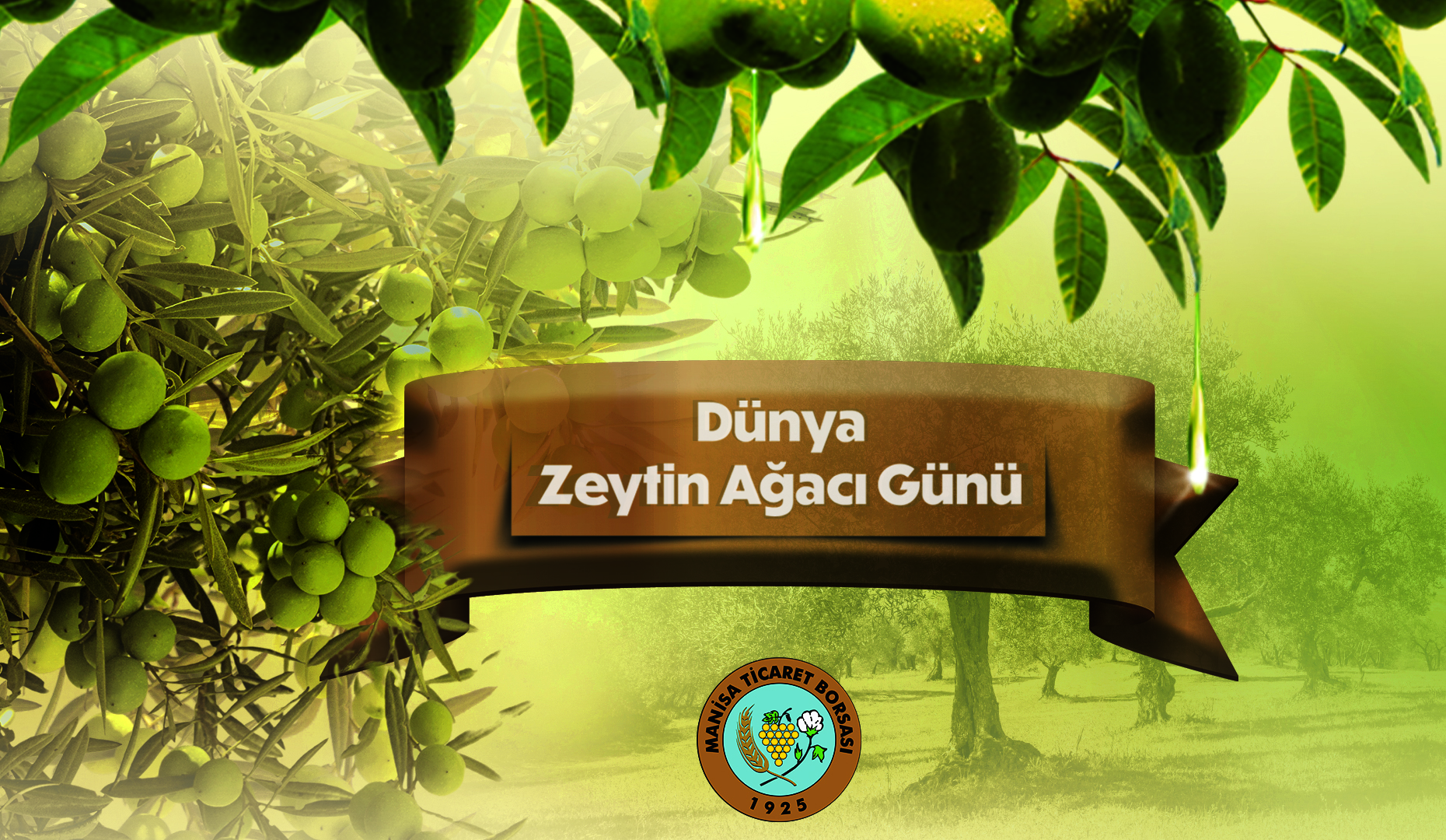 26 Kasm Dnya Zeytin Aac Gn Kutlu Olsun!